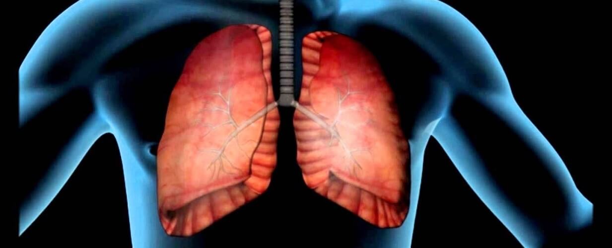 Рациональная фармакотерапия заболеваний верхних и нижних дыхательных путей
